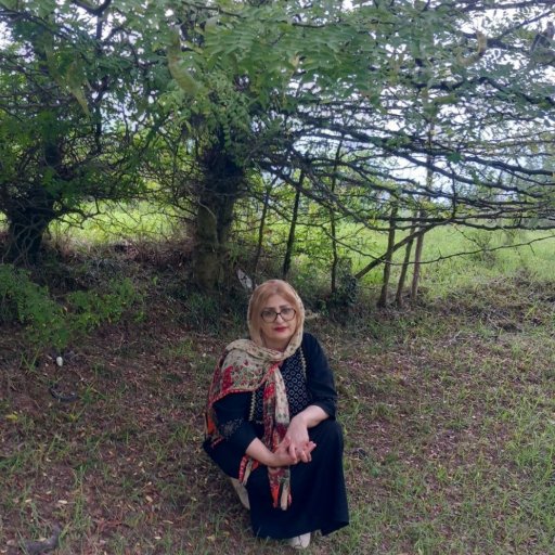 عکس رقیه کرمی مرجقل